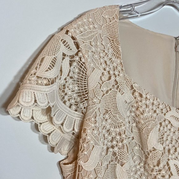 Precis Petite Women Cream Lace Top Dress US L (14) - Picture 6 of 9